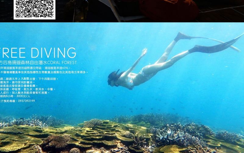 南方四島珊瑚森林自由潛水（海玩子）