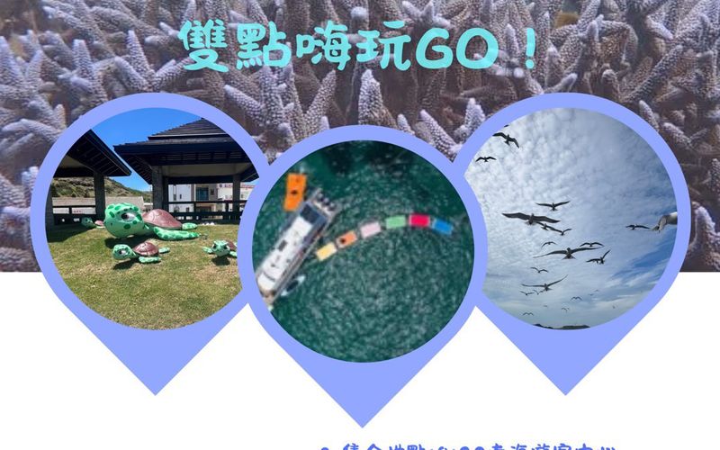 星嶼遊艇 望安薰衣草行程